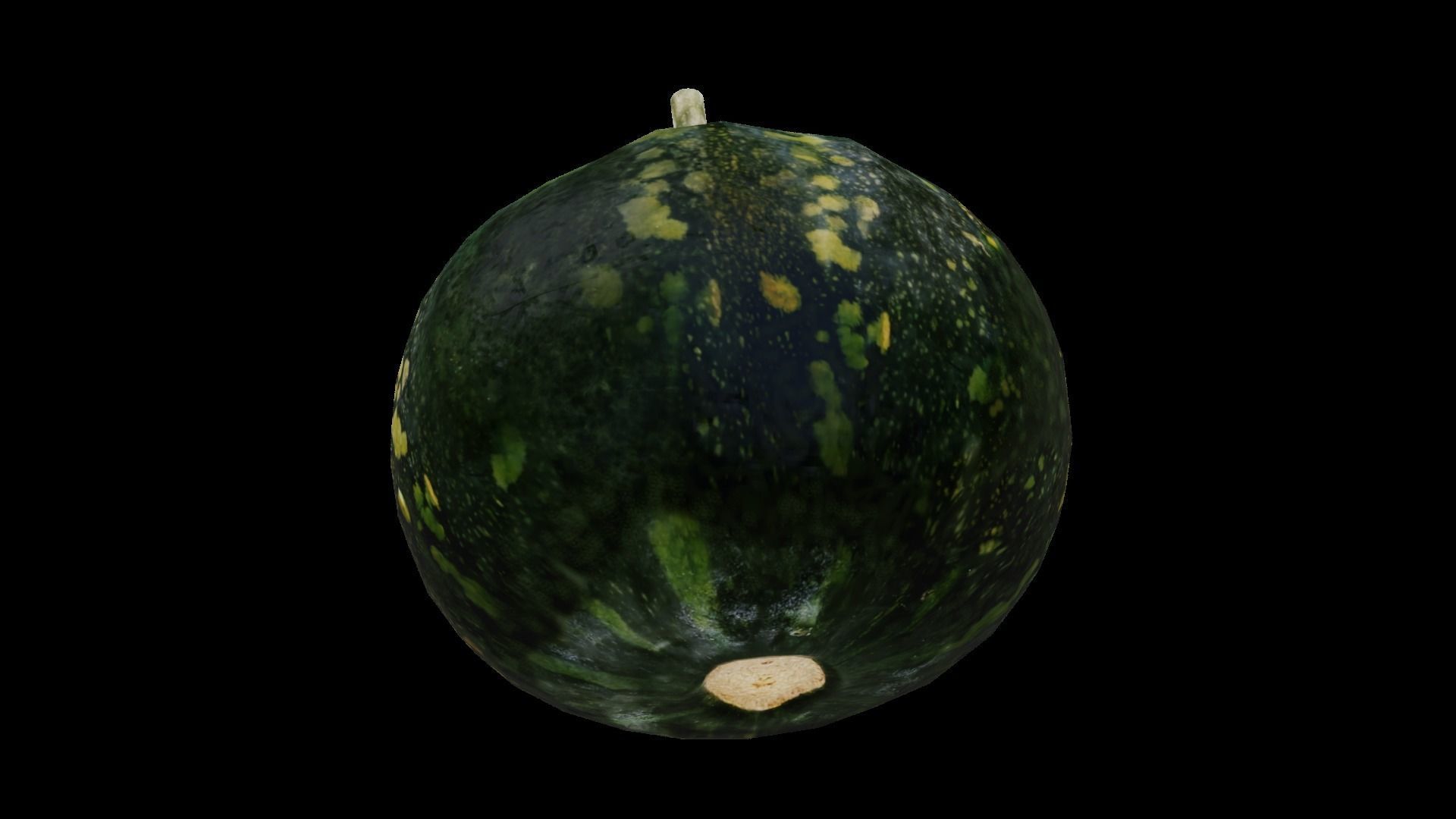 Squash Low-poly 3D model_11