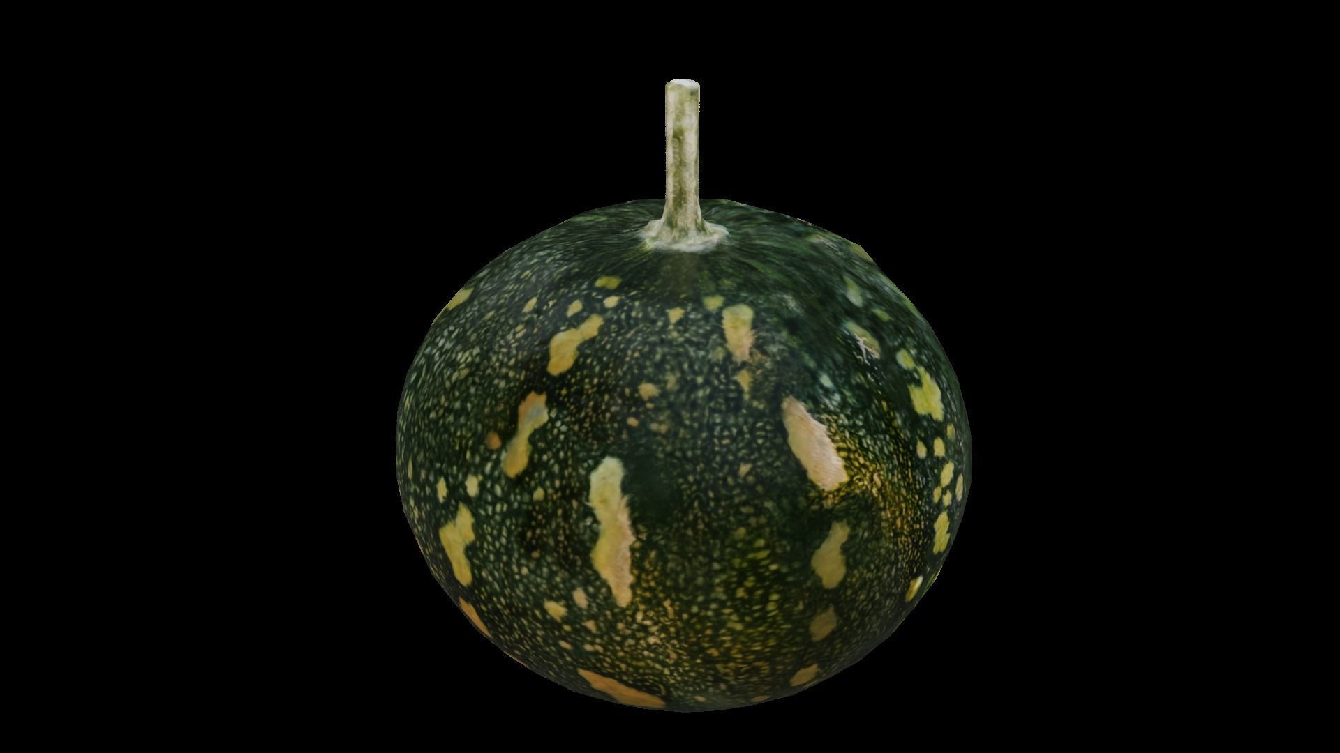 Squash Low-poly 3D model_8