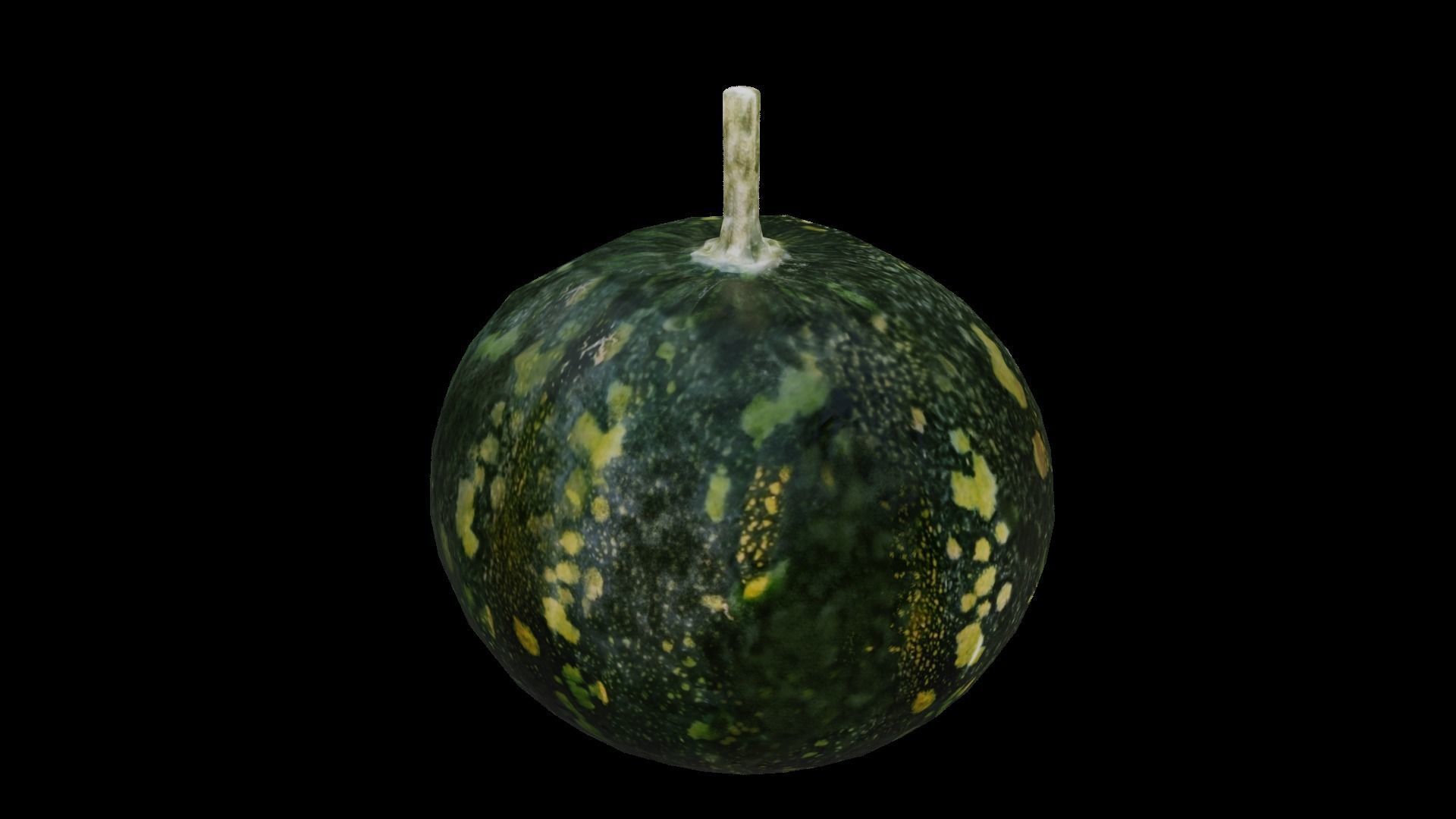Squash Low-poly 3D model_10