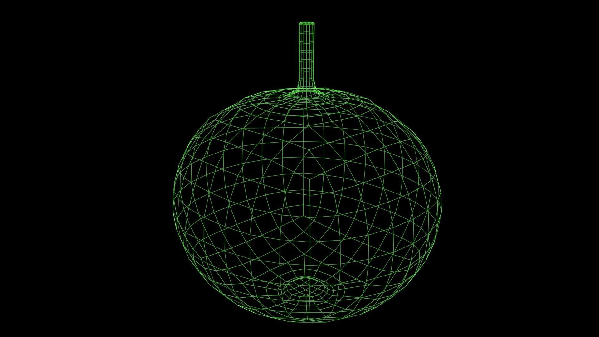 Squash Low-poly 3D model_6