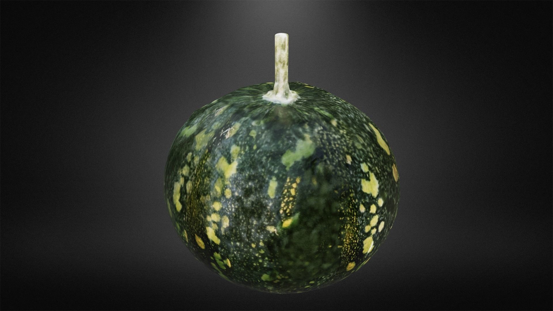 Squash Low-poly 3D model_2