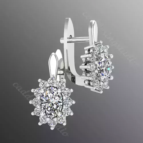 Earrings od61
