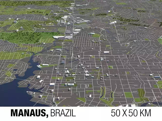 Manaus Brazil 50x50km City Map 3D model