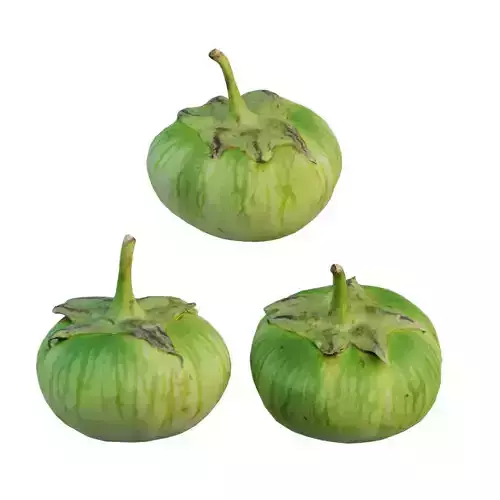 Green Giant Eggplant