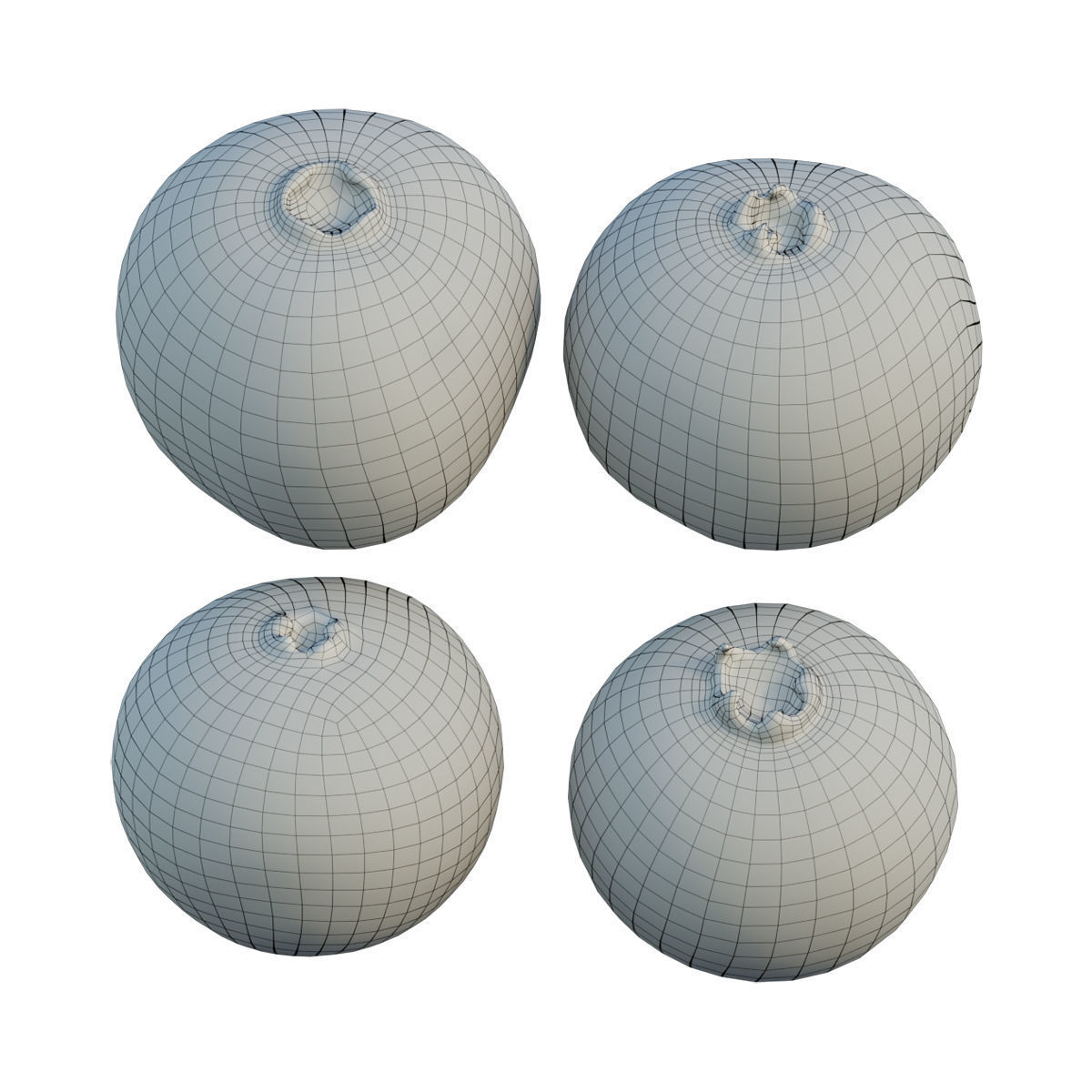 Diospyros decandra 02 3D model_7