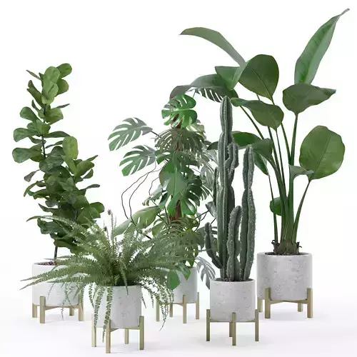 Plants collection 118 3D model