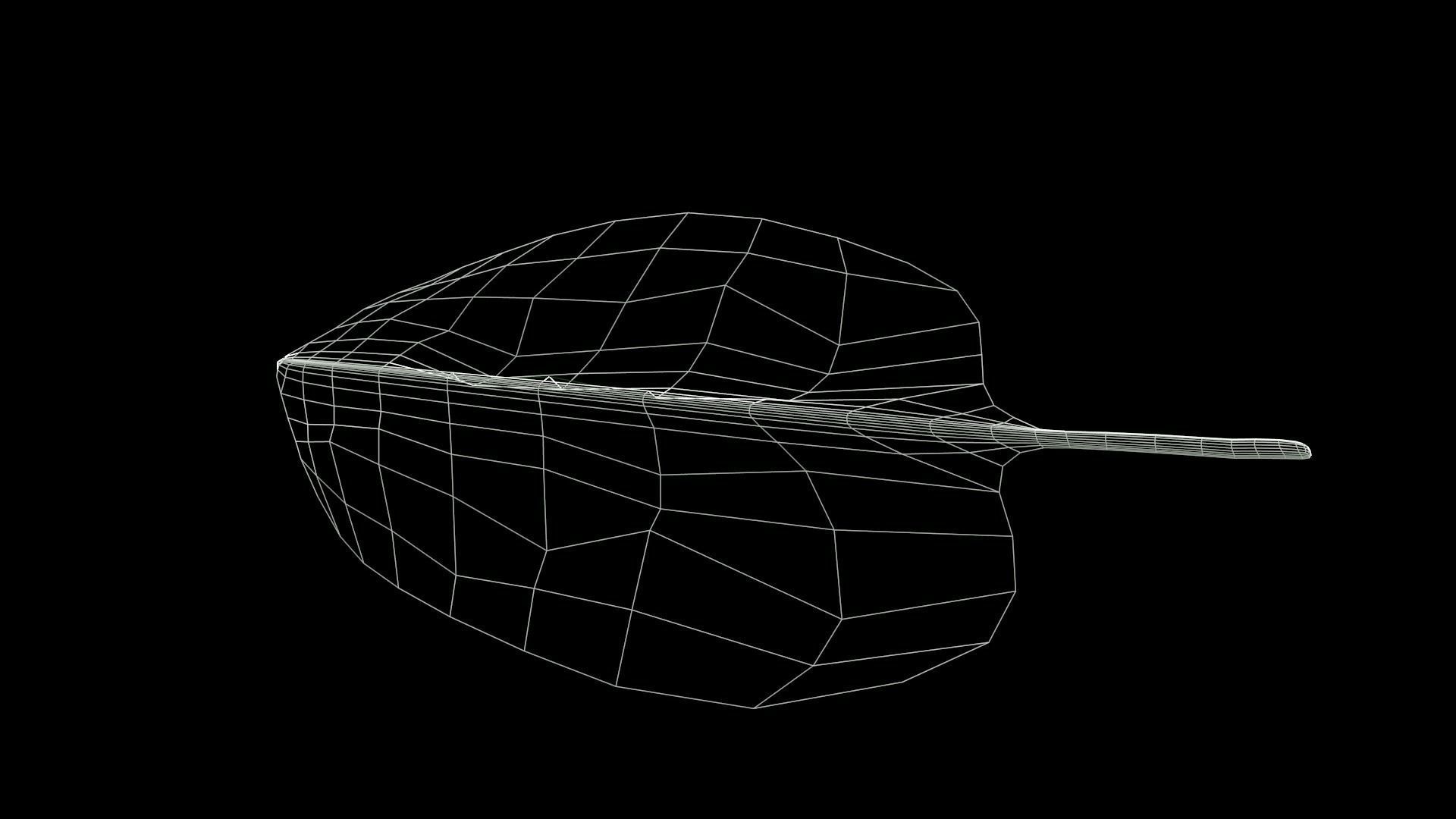 Spinach leaf of Low-poly 3D model_11