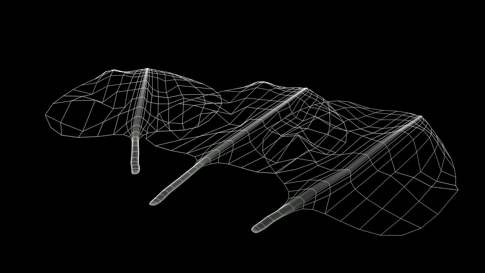 Spinach leaf of Low-poly 3D model_8