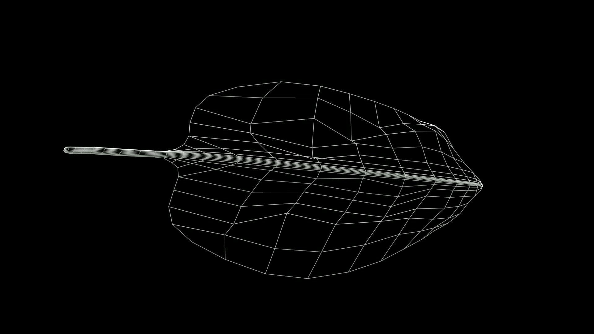 Spinach leaf of Low-poly 3D model_10