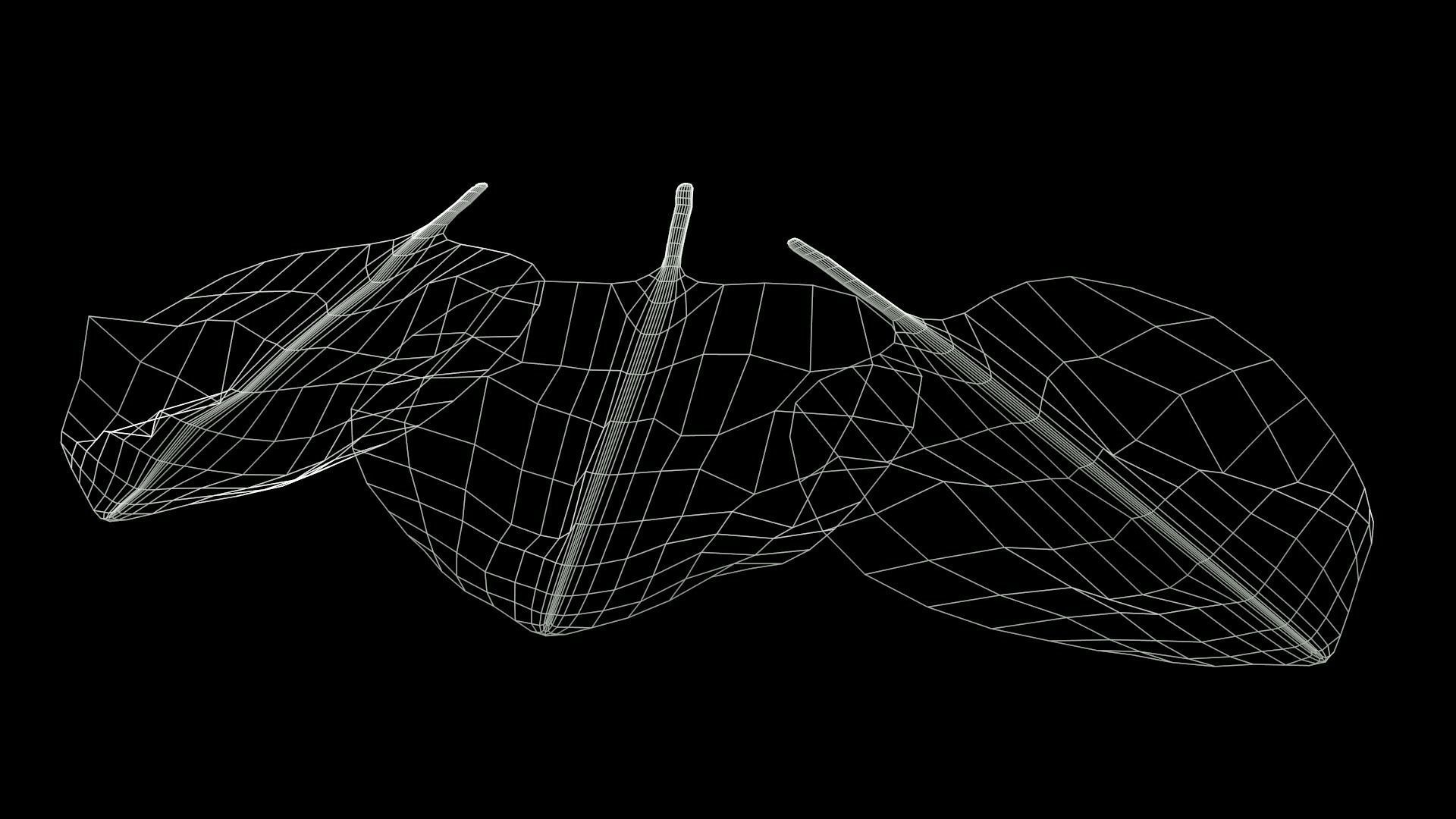 Spinach leaf of Low-poly 3D model_9