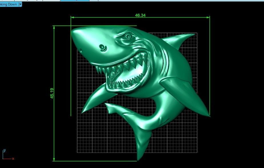 bas-relief shark 3D print model_14