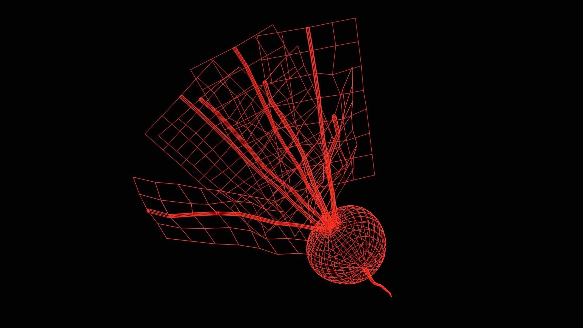 Radish Low-poly 3D model_11