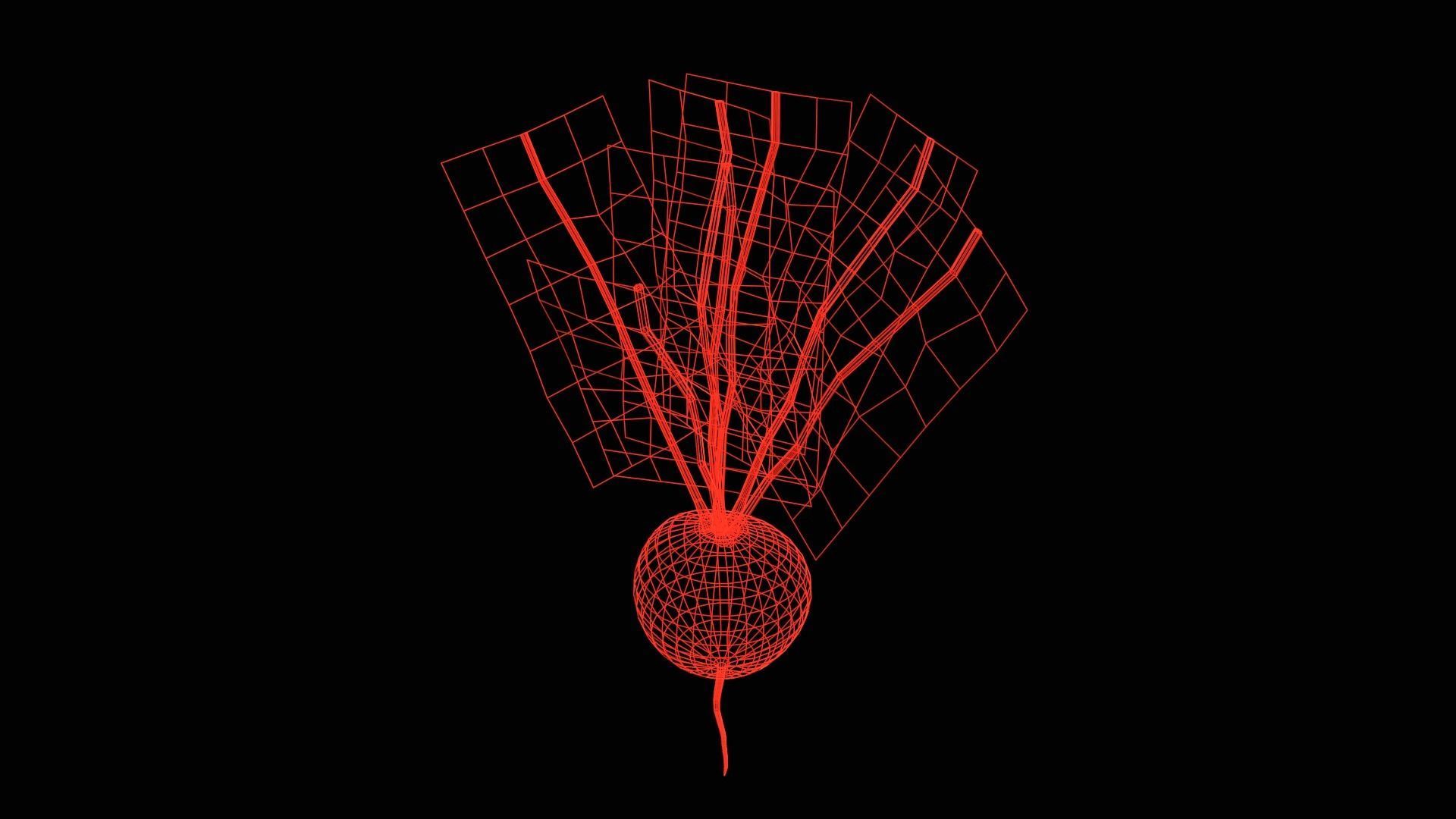 Radish Low-poly 3D model_9