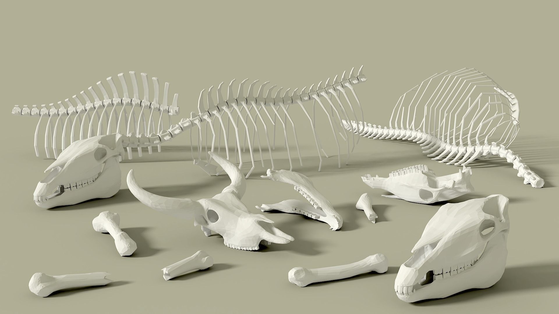 3d-model-animals-bones-with-skulls-vr-ar-low-poly-cgtrader