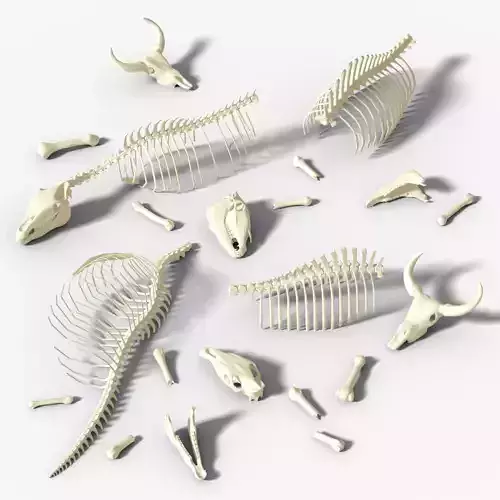 Animals bones with skulls Low-poly 3D model