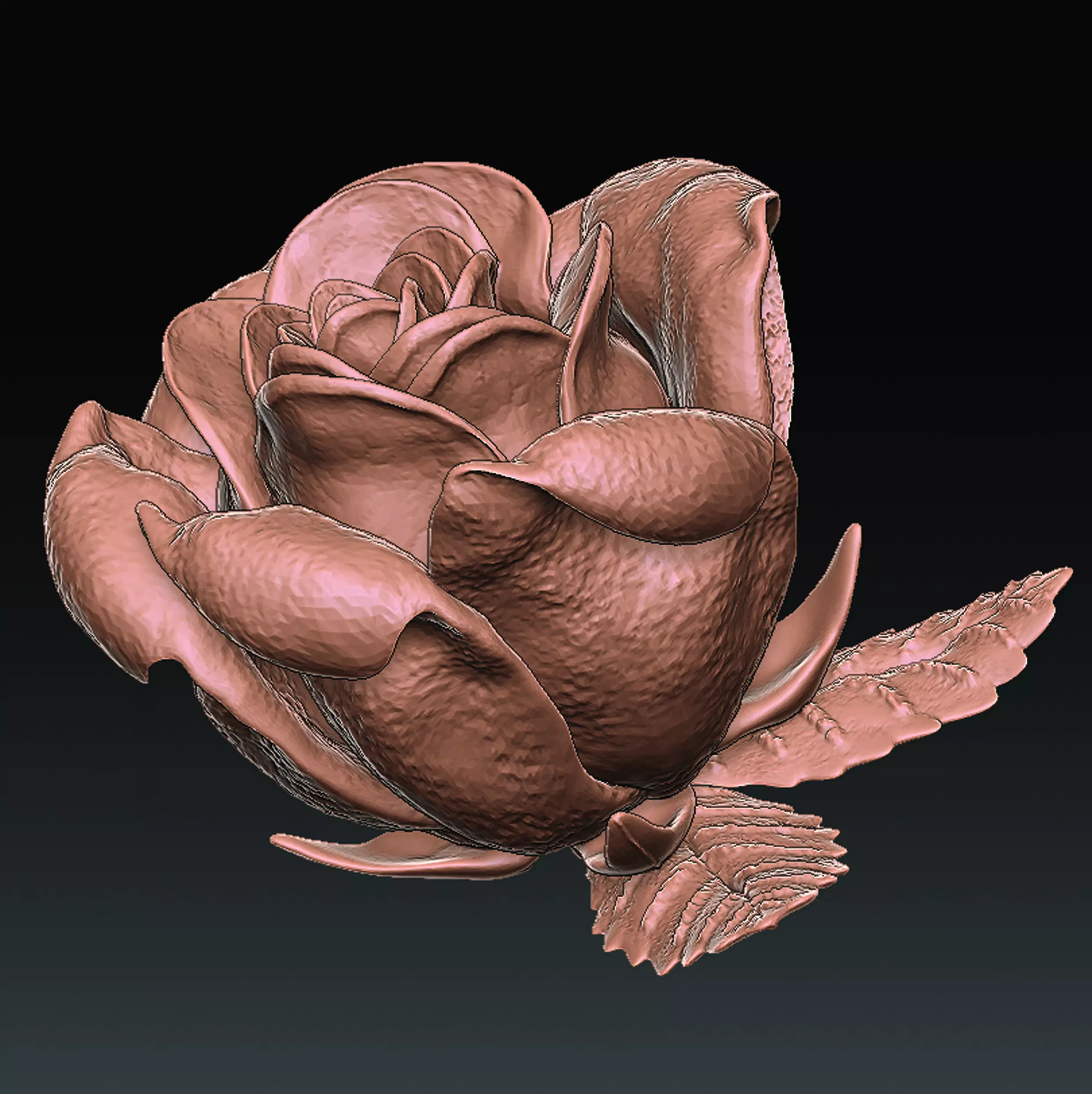 Rose Flower  3D print model_0