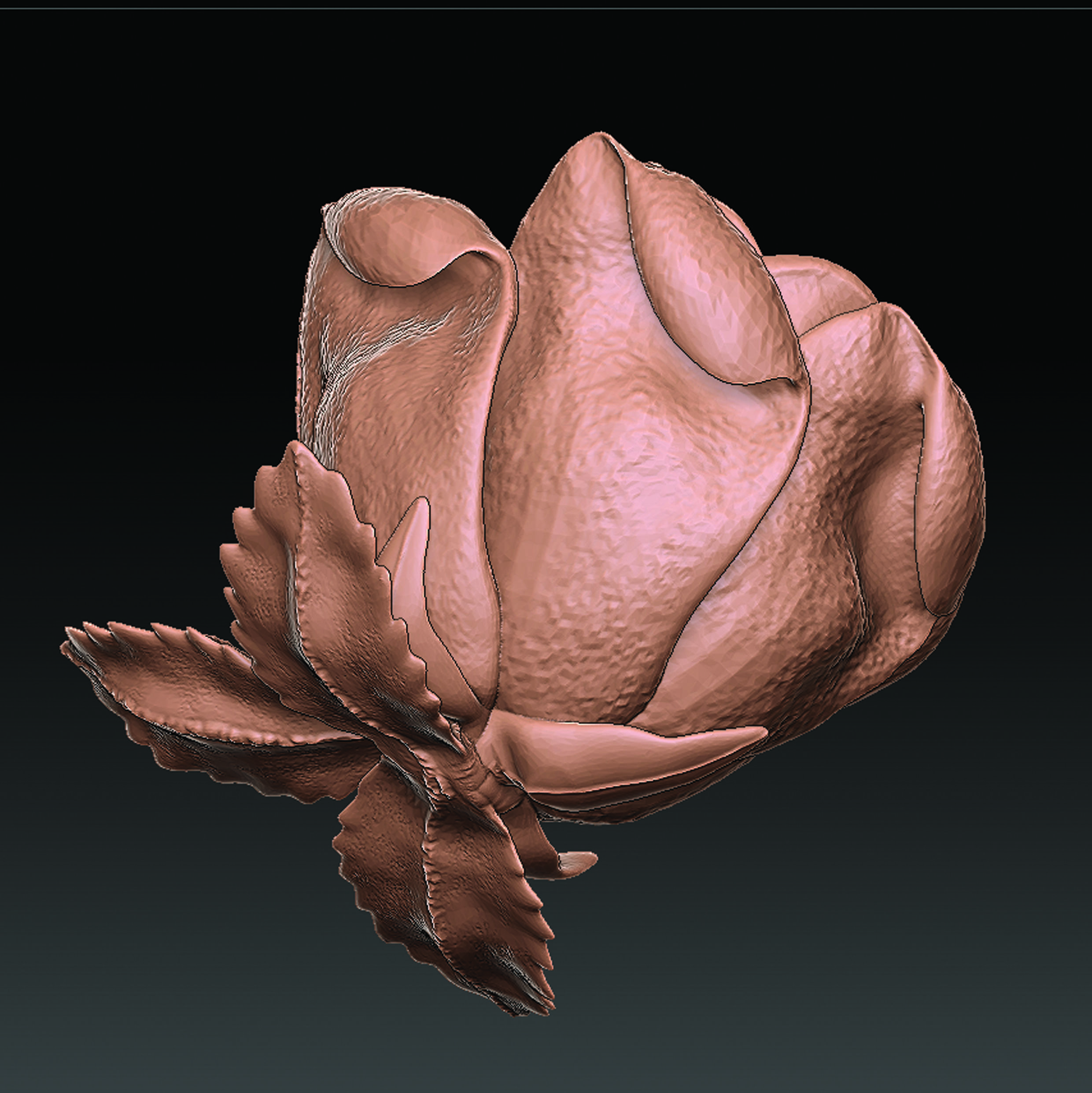 Rose Flower  3D print model_2
