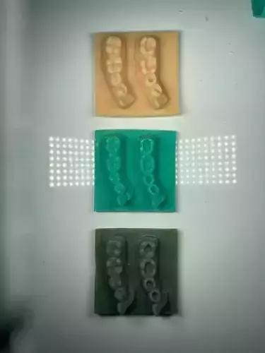 Lower Quadrant Dental Model for carving trainings