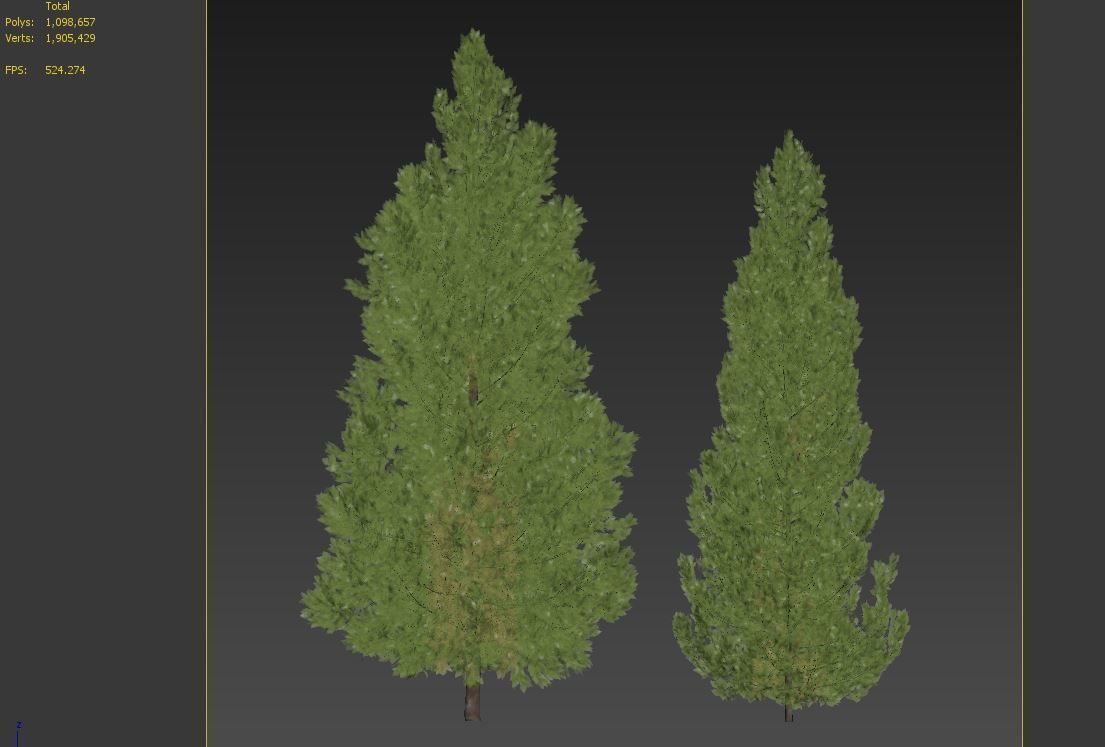 Leyland cypress 3D model_7