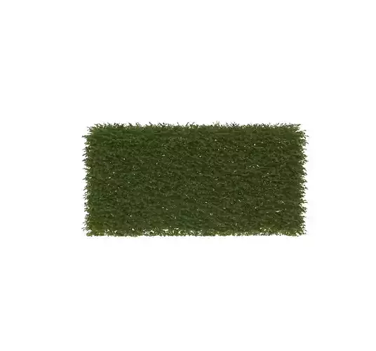 A standing clump of grass