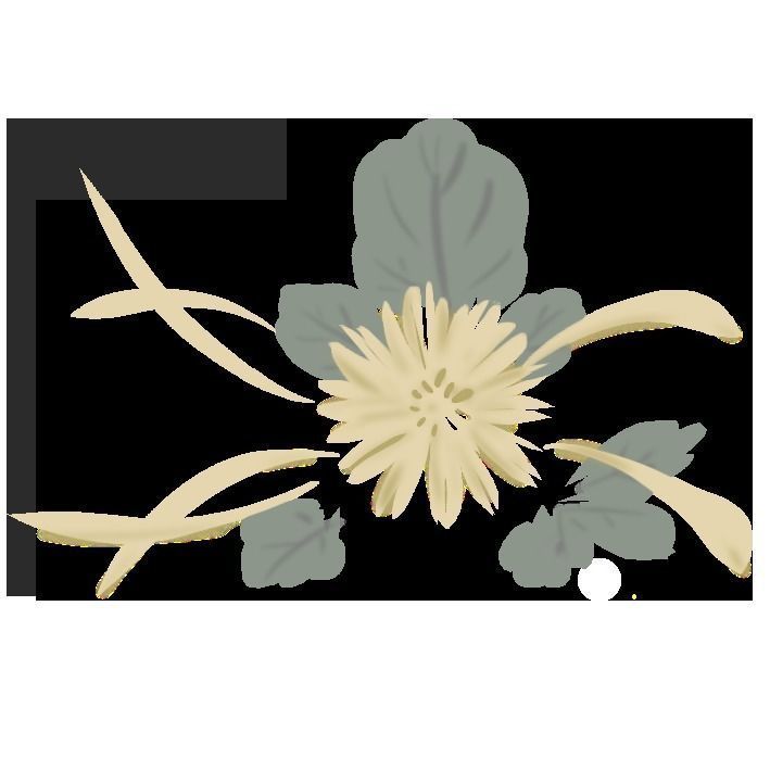 Tableware set japanese first meal set 3D model_11