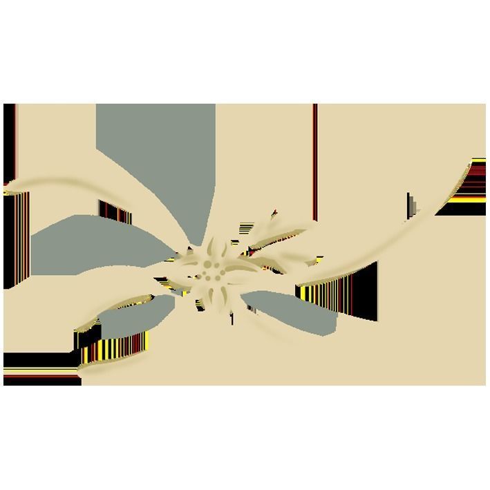 Tableware set japanese first meal set 3D model_10