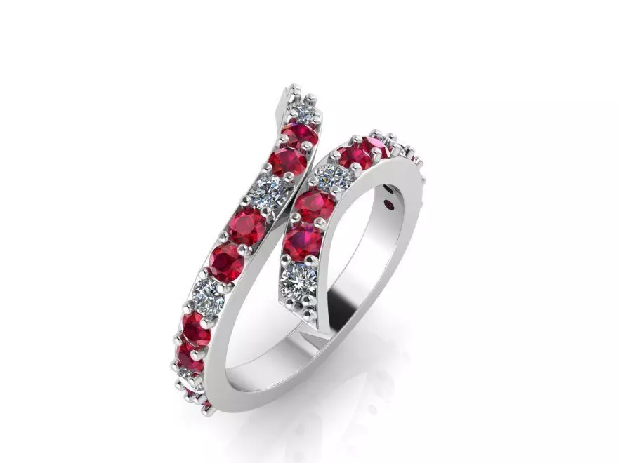 Bypass Ring 1248 3D print model_0