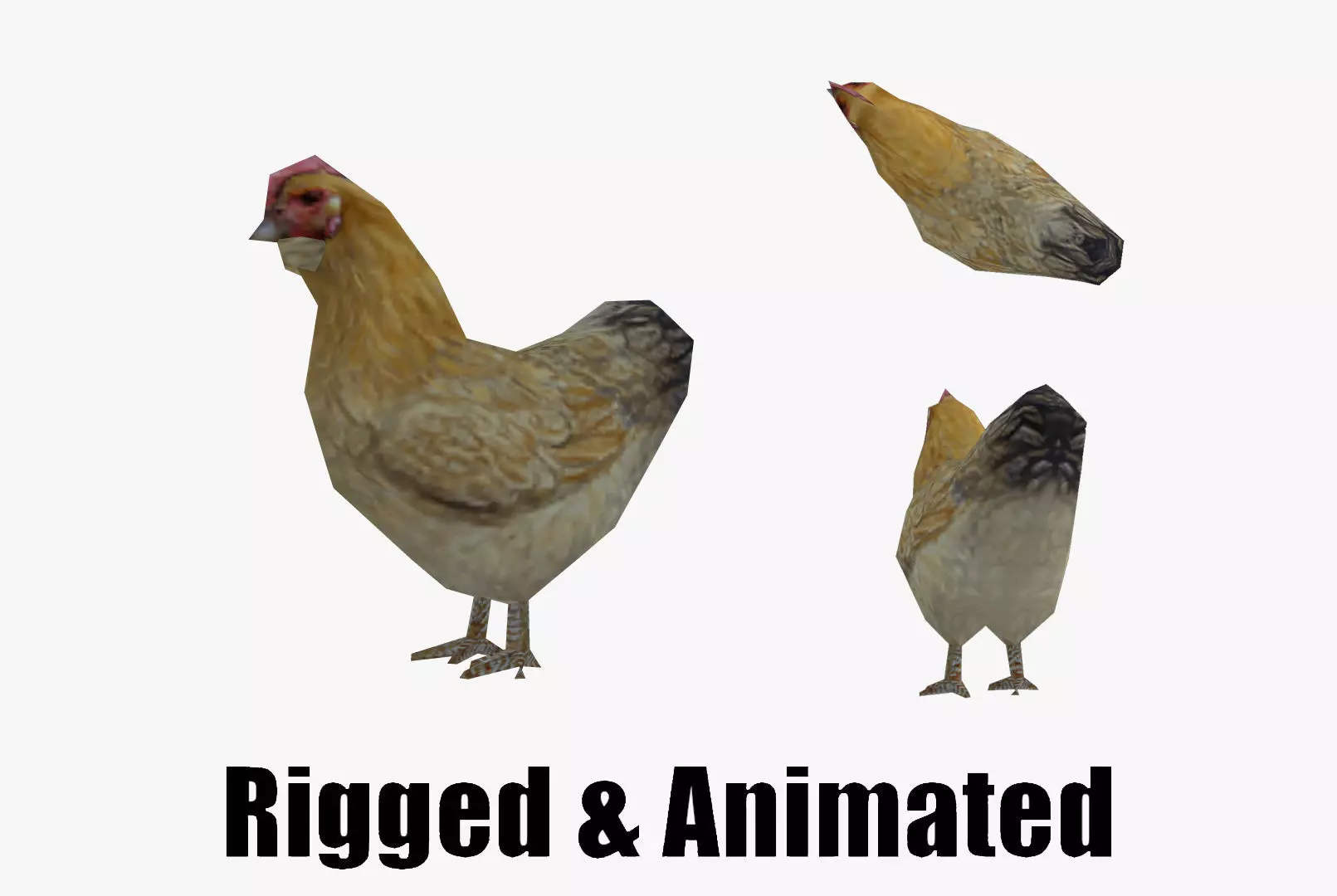 low-poly animated chicken Low-poly 3D model_0