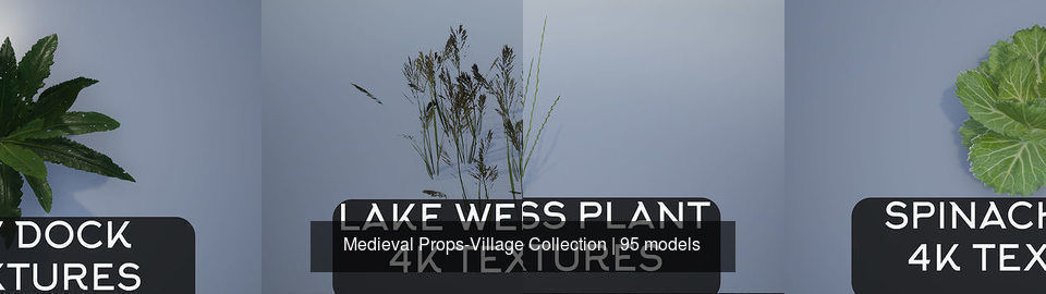 Medieval Props-Village Collection _12