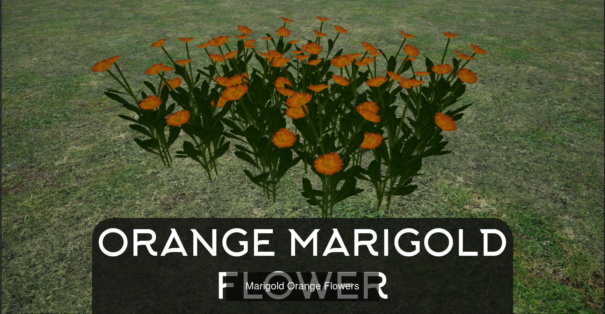 Medieval Props-Village Collection _10