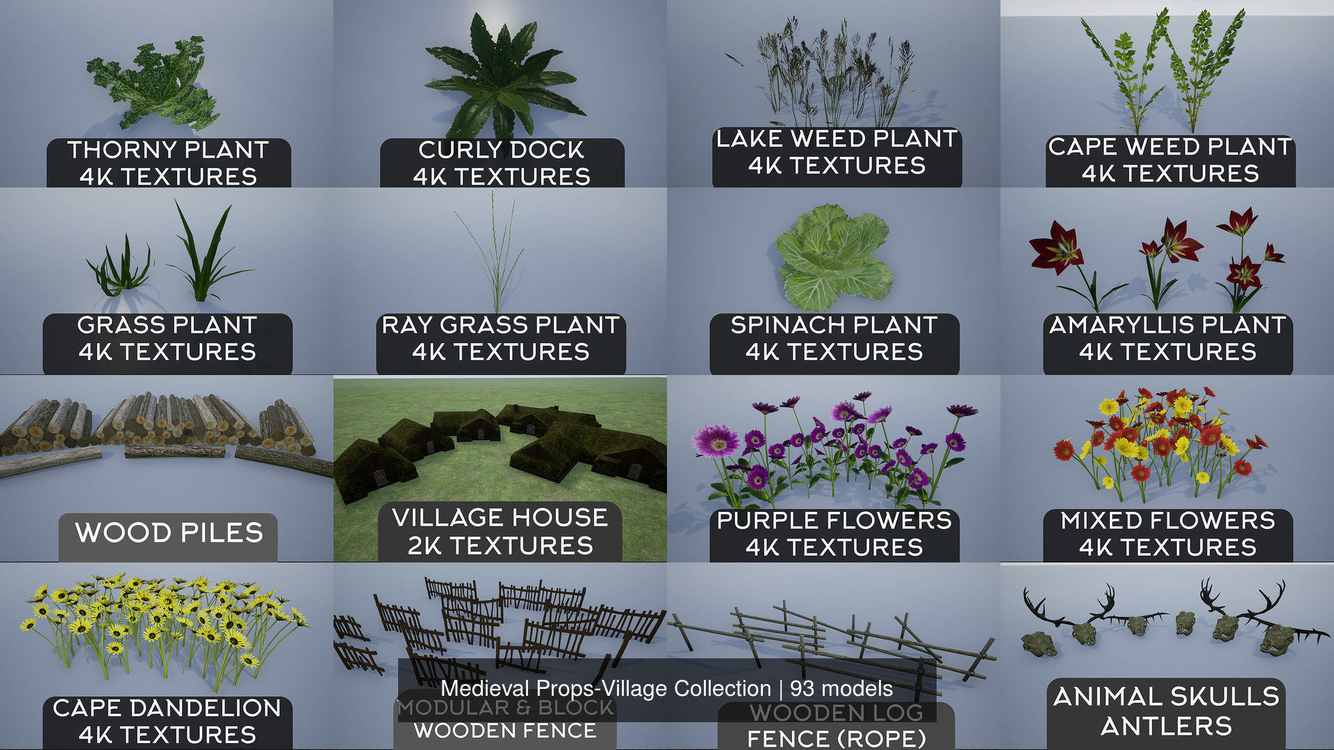 Medieval Props-Village Collection _19