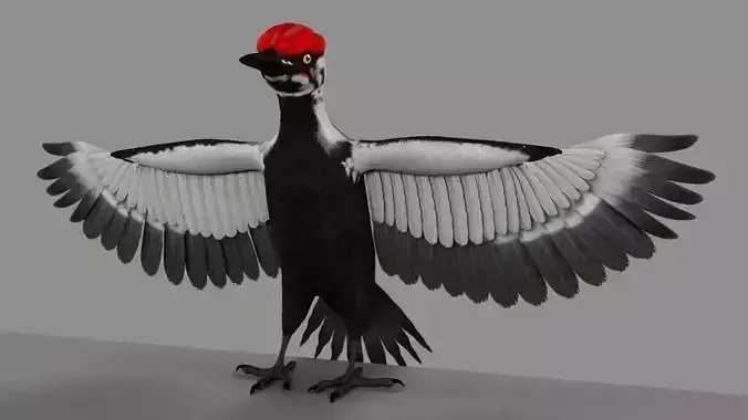 Pileated Woodpecker 3D model