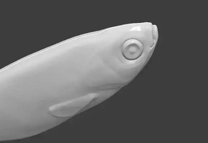 Soft plastic fishing lure model 