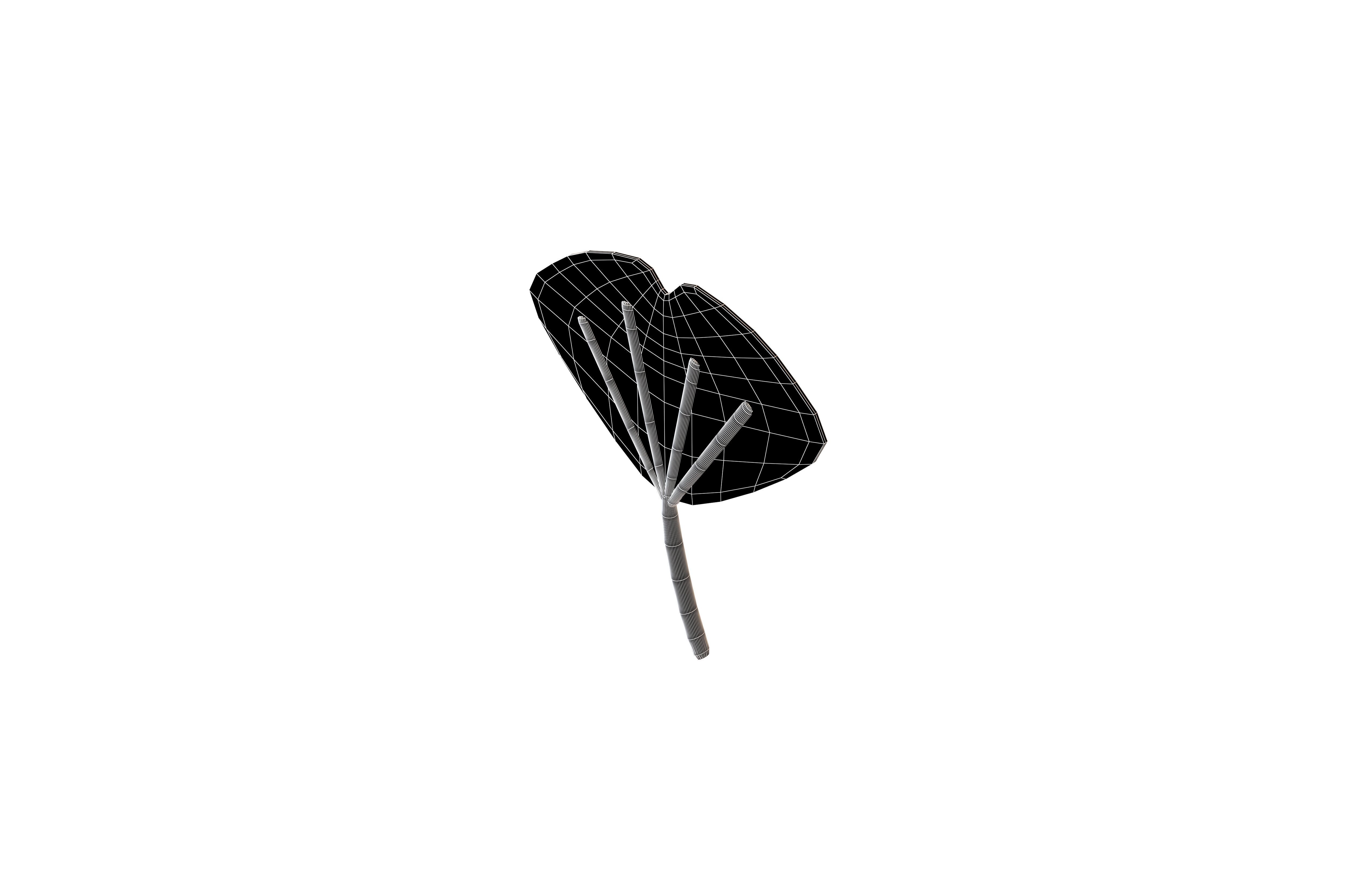 Cartoon Leaf v3 002 Low-poly 3D model_6