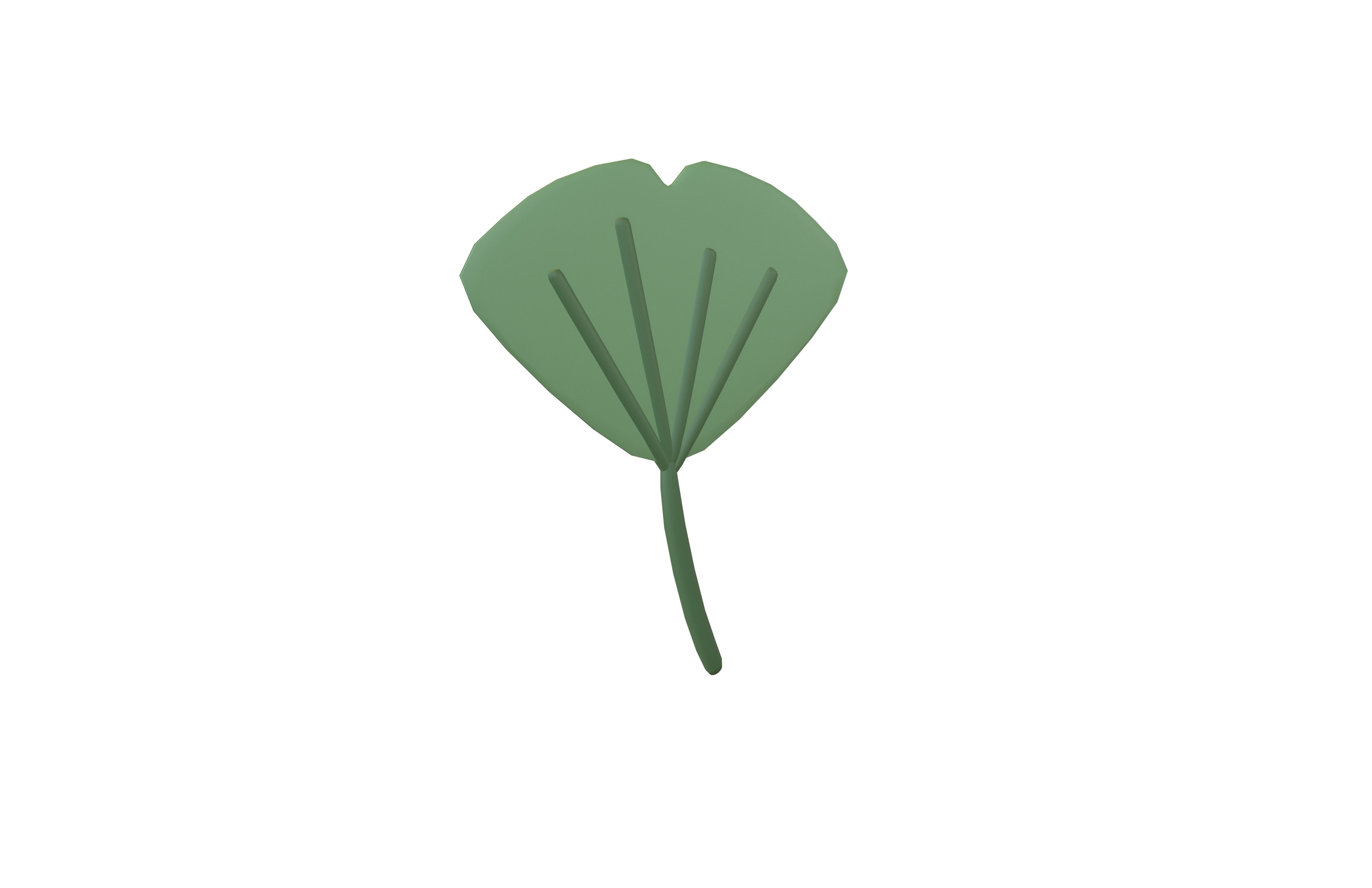 Cartoon Leaf v3 002 Low-poly 3D model_1