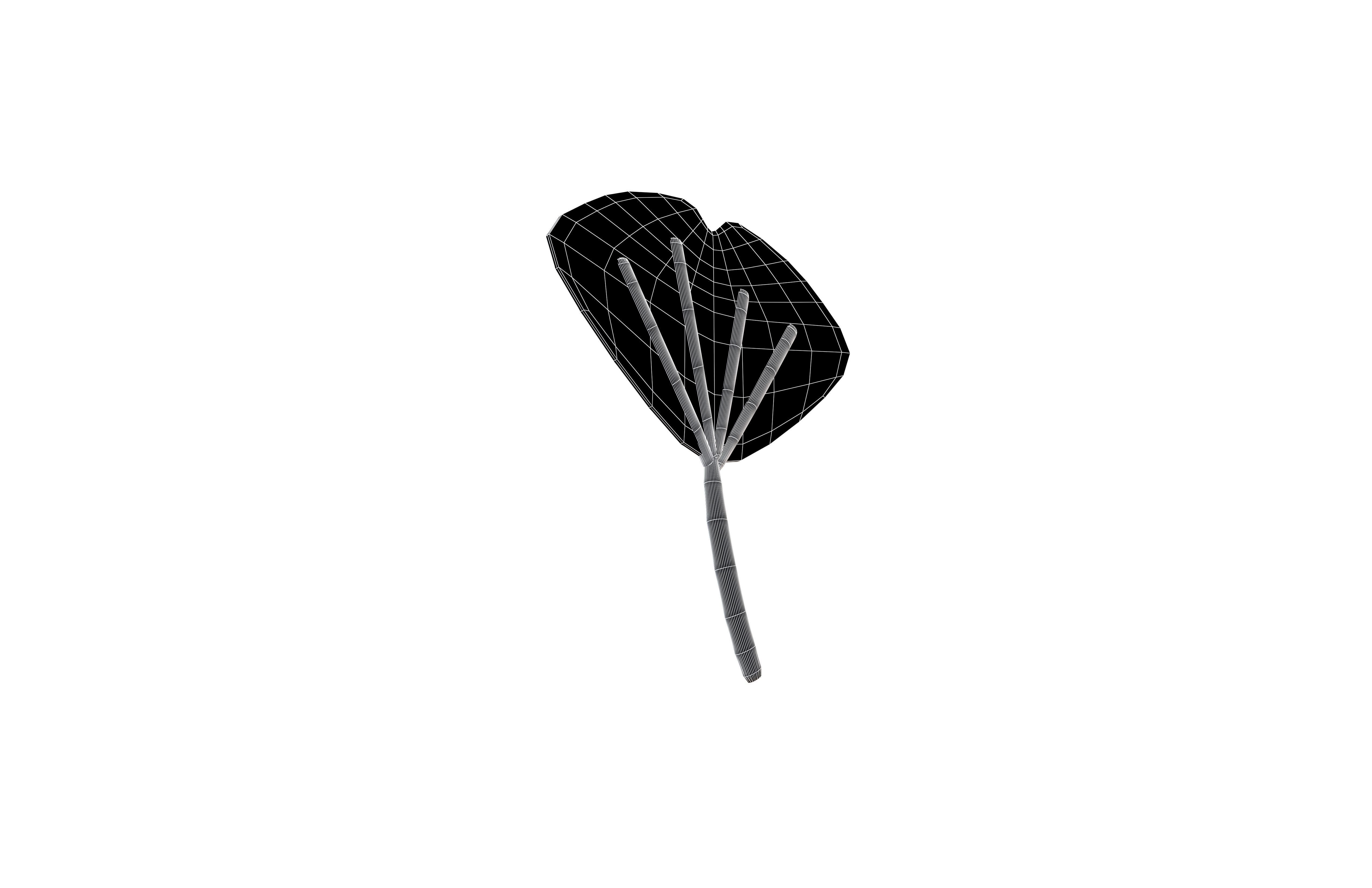Cartoon Leaf v3 005 Low-poly 3D model_7