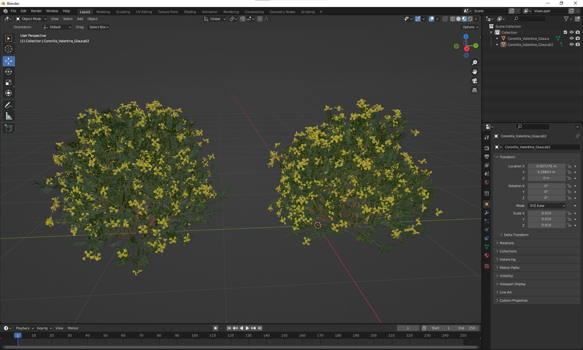 New Plant Coronilla Valentina Glauca Flower Bush 3D model_4