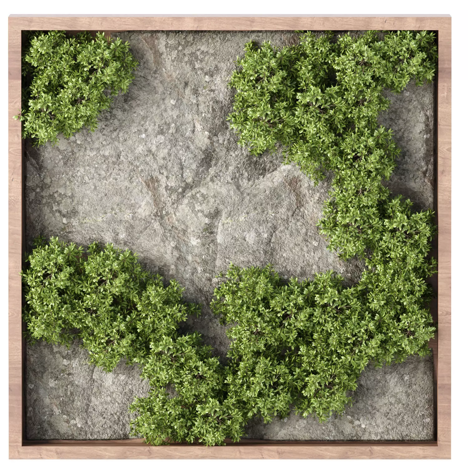 Vertical Rock Garden vol 133 3D model