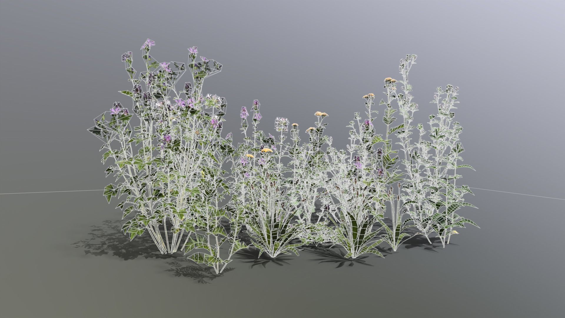 Meadow Plants 01 Low-poly 3D model_6
