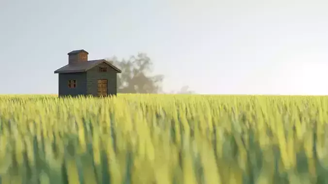 3D Cottage house