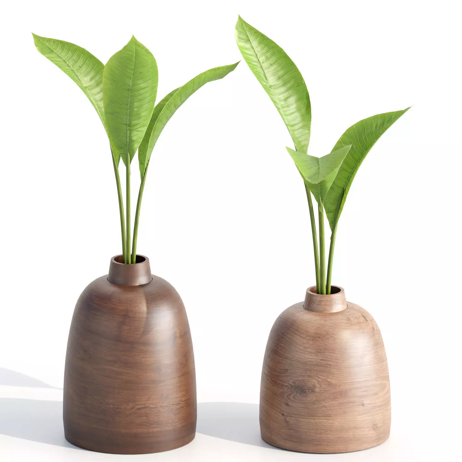 Wooden Vase with plants vol 134 3D model_0
