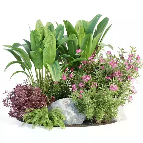 Outdoor Garden Plants Collection vol 136 3D model