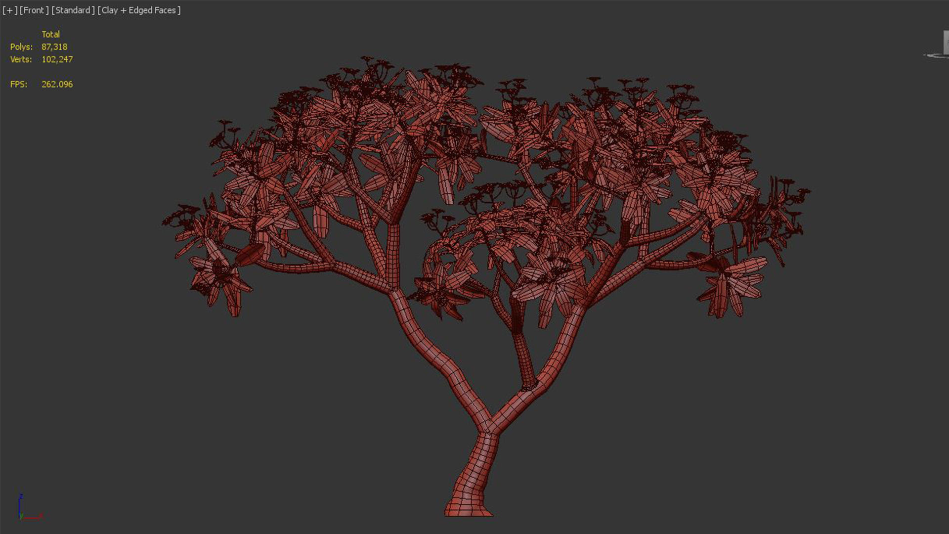 Plumeria rubra -Frangipani Tree-01 3D model_6