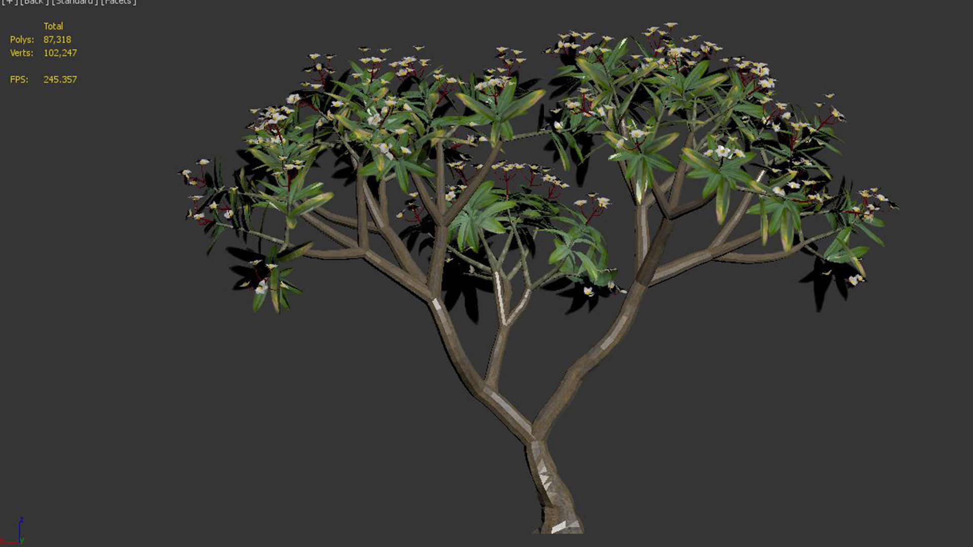 Plumeria rubra -Frangipani Tree-01 3D model_8