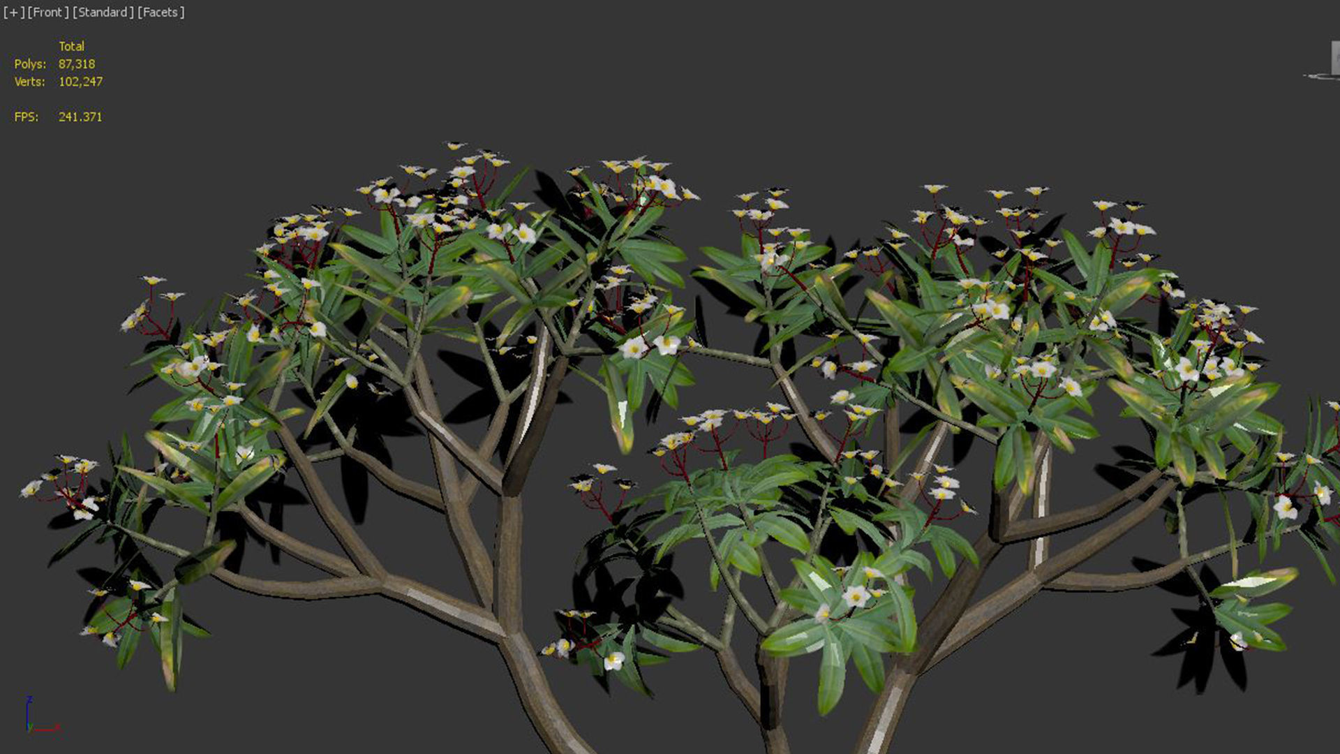 Plumeria rubra -Frangipani Tree-01 3D model_7