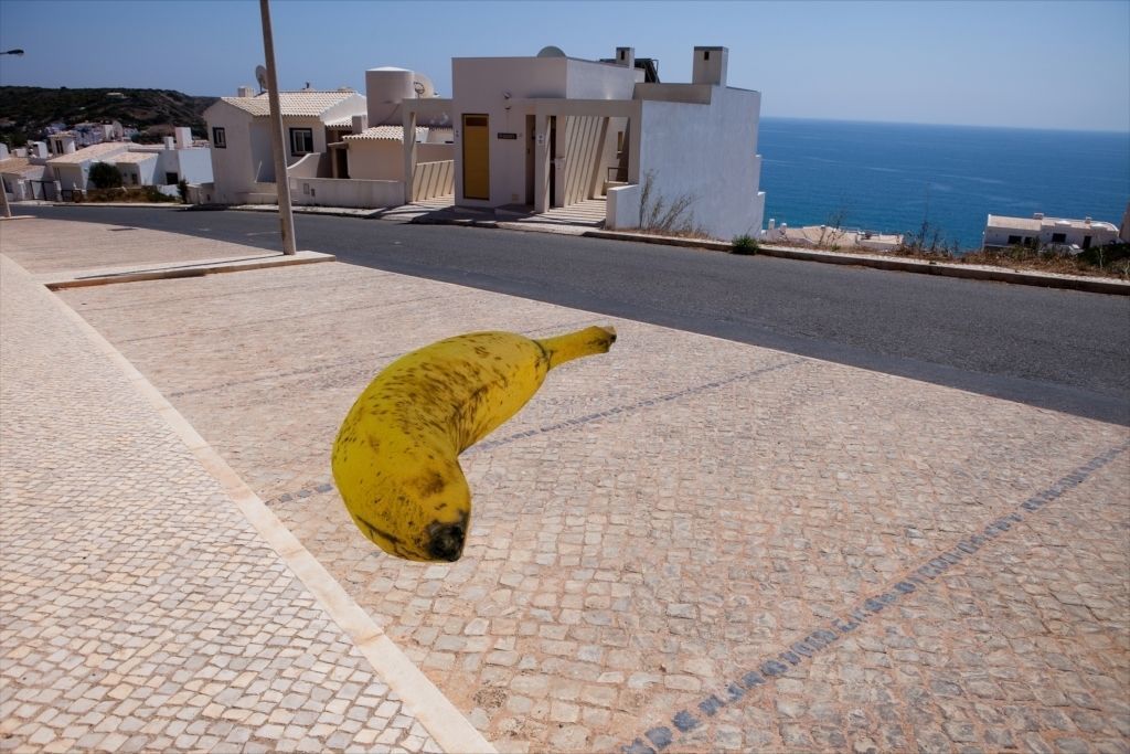 real banana with texture Free 3D model_3