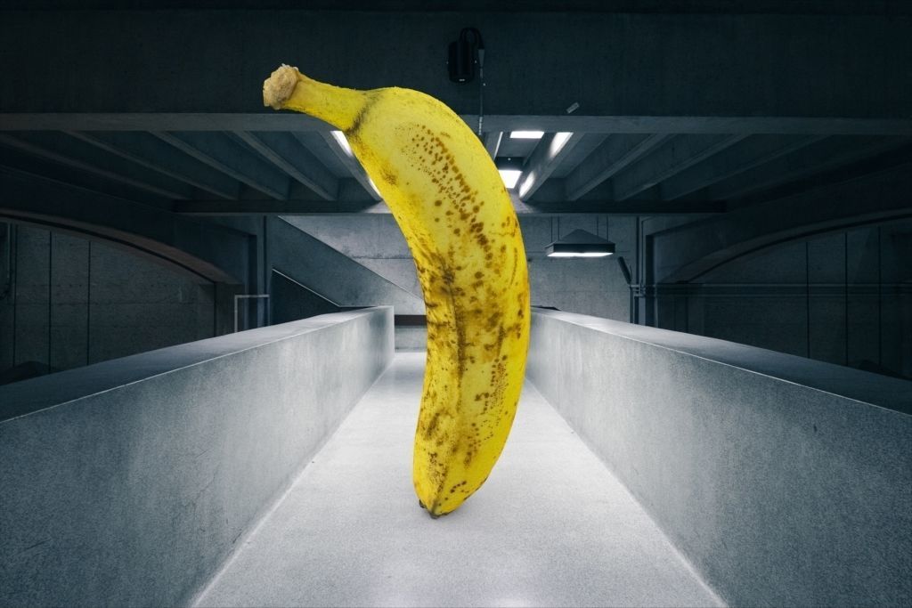 real banana with texture Free 3D model_4