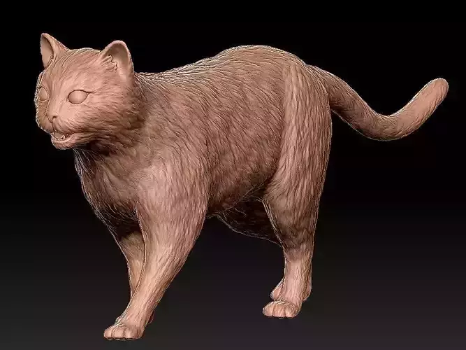 3D Cat 3D print model