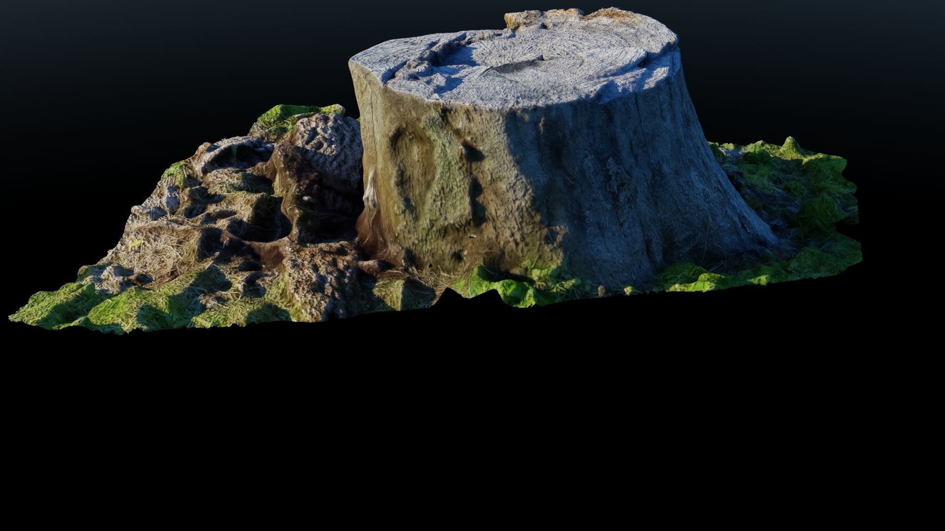Tree Stump 2 Low-poly 3D model_4