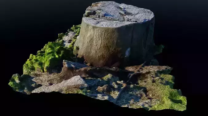 Tree Stump 2 Low-poly 3D model